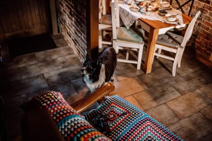 Chata Drewniana Stefanowka Slemien Exteriér fotografie
