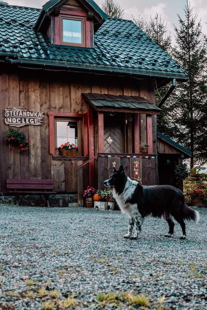 Chata Drewniana Stefanowka Slemien Exteriér fotografie